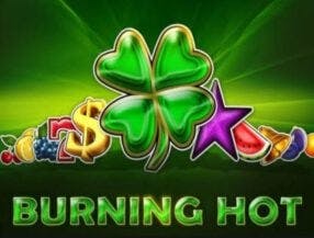 sapuri life net slots